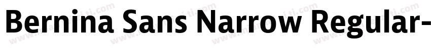 Bernina Sans Narrow Regular字体转换